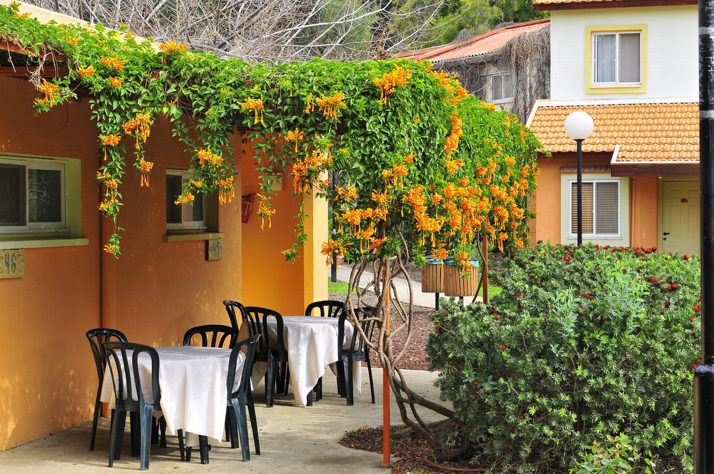 דירות 3 חדרים